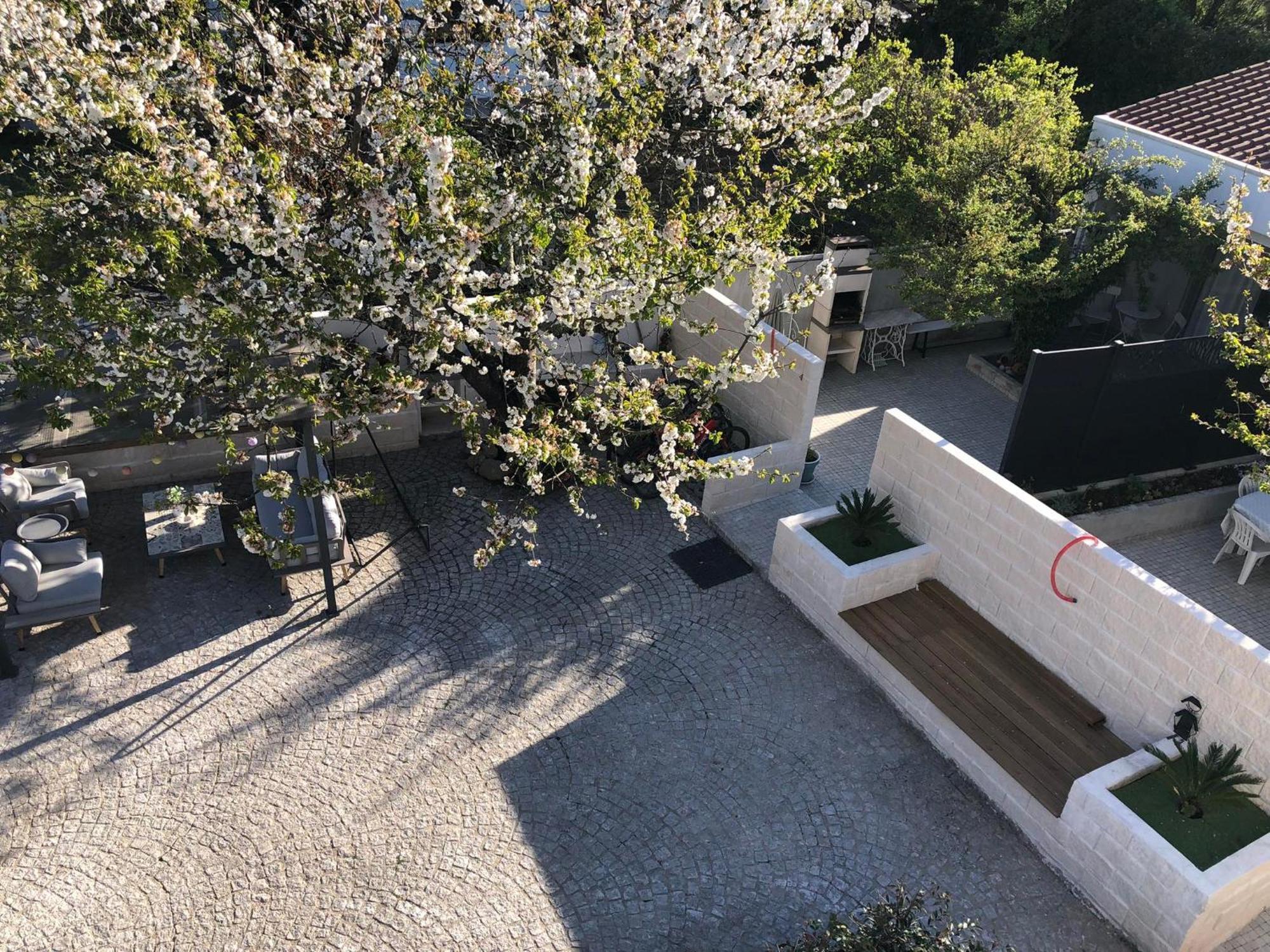 Casa Da Avo Olinda Holiday home Gois