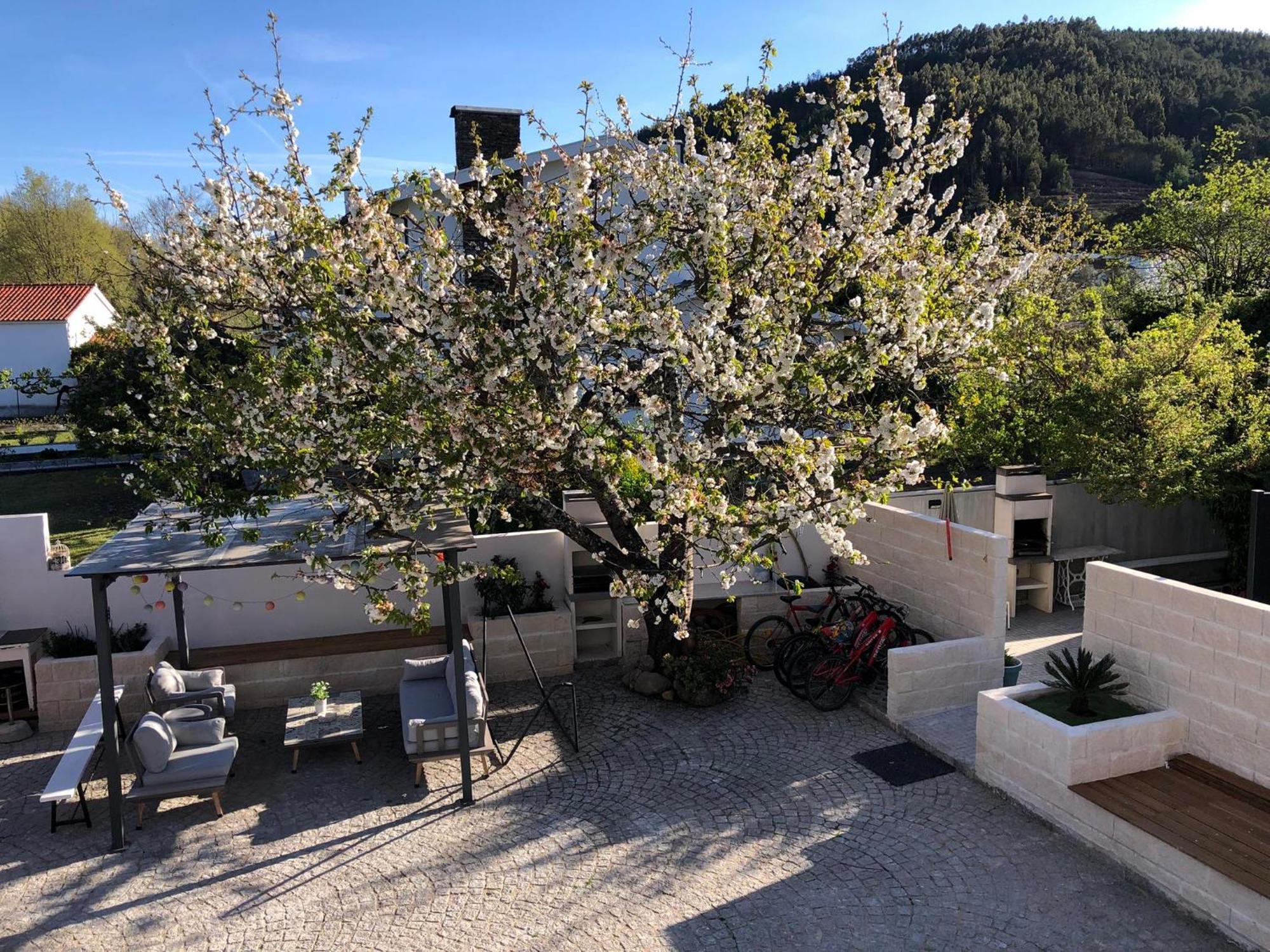 Casa Da Avo Olinda Holiday home *